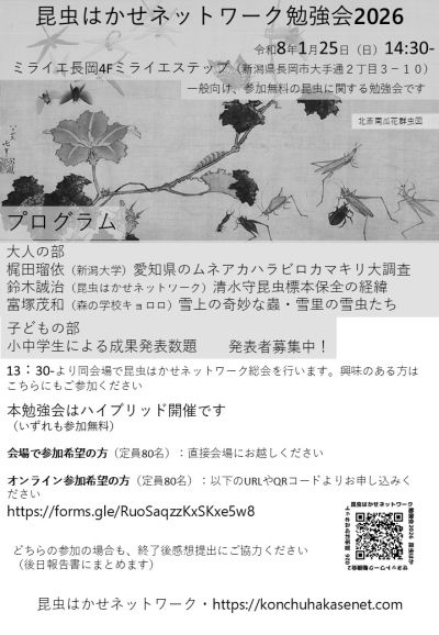 �����͂����l�b�g���[�N�׋���2026